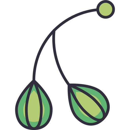 Kapari