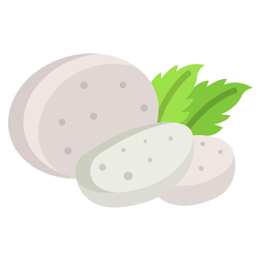 Mozzarella Peyniri
